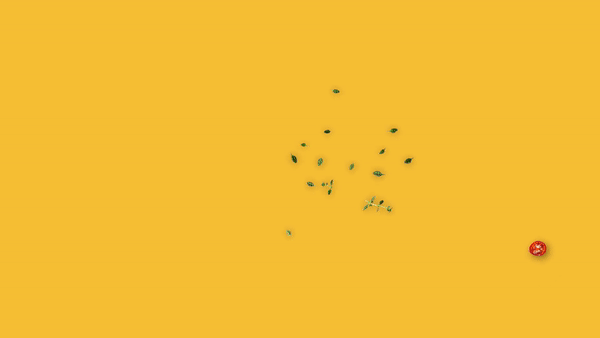 فروشگاه آنلاین لوتینو لند